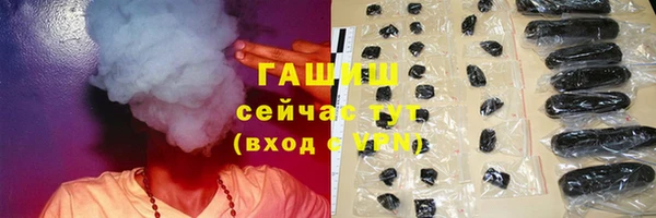 СК Новодвинск