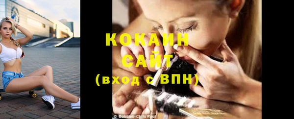 СК Новодвинск