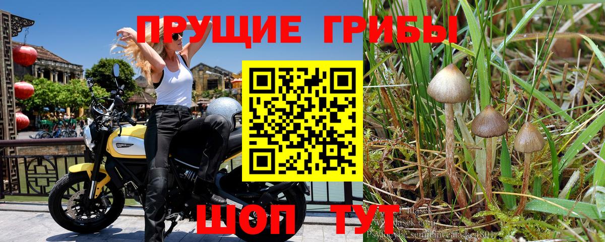 Галлюциногенные грибы мухоморы  Конаково  Галлюциногенные грибы прущие грибы 