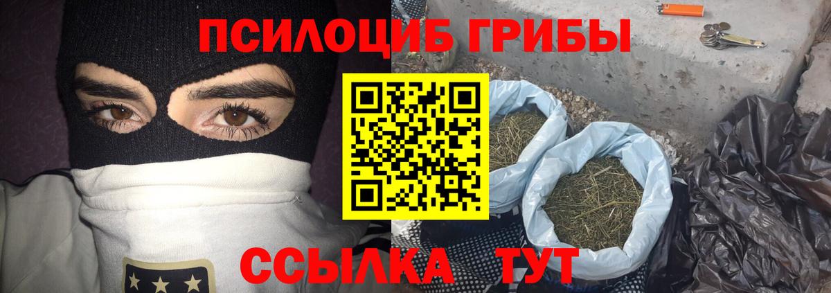 Псилоцибиновые грибы Psilocybe  Вход с VPN  Конаково 